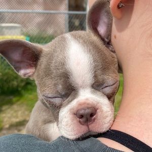 Meet your Posher, Trinity